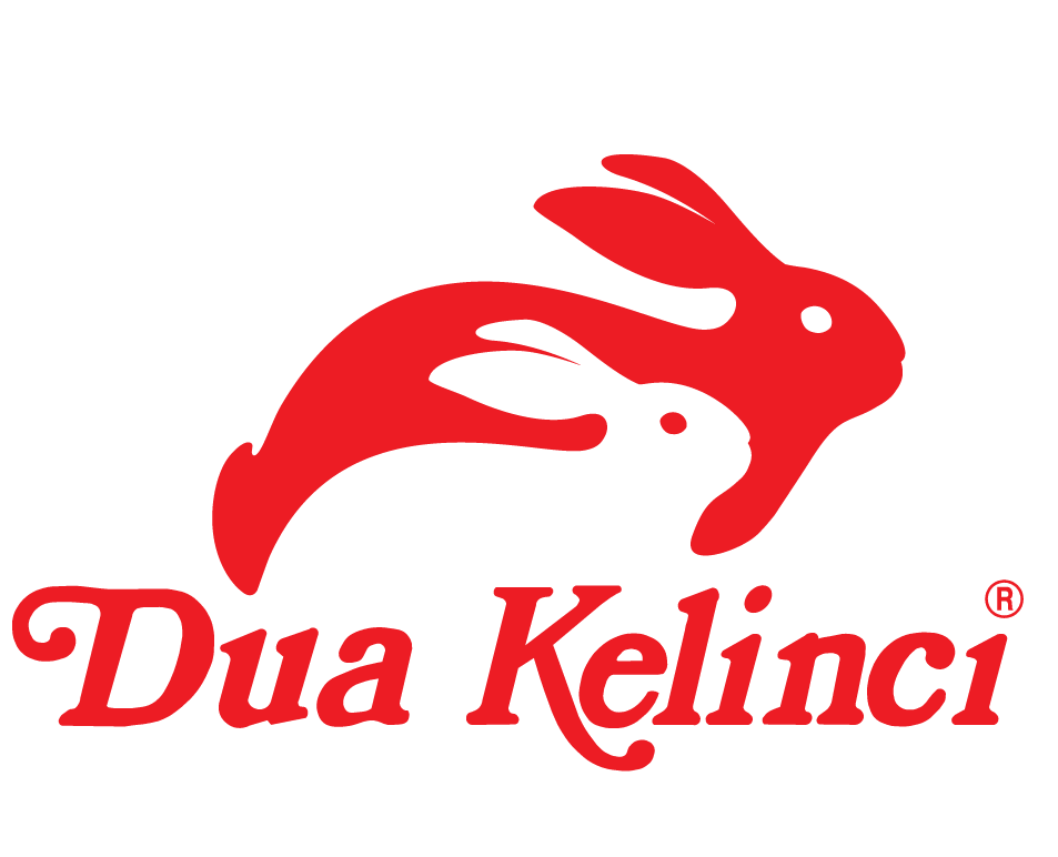 Dua Kelinci