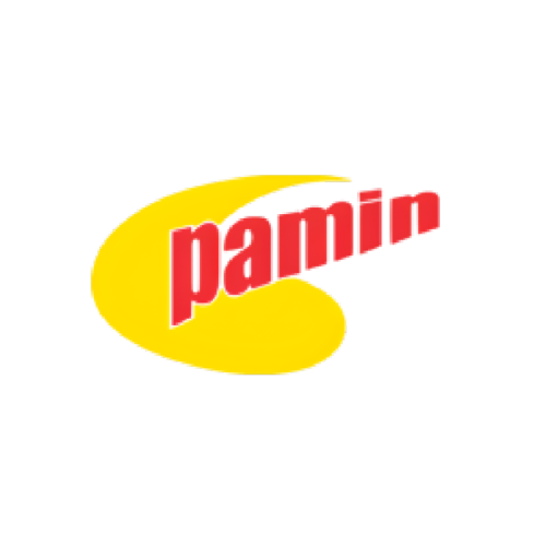 Pamin